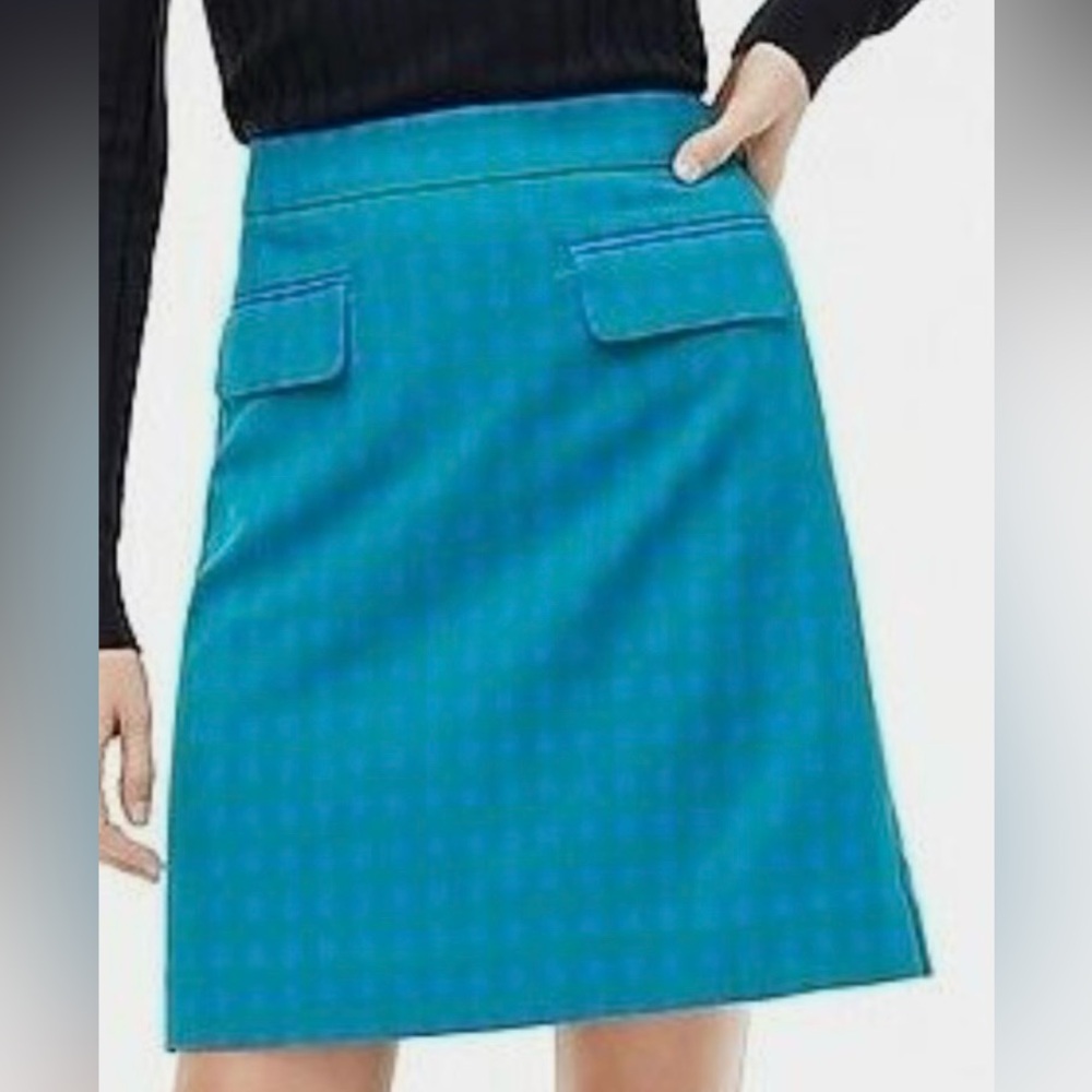 Elegant Blue Checked  Women's Skirt